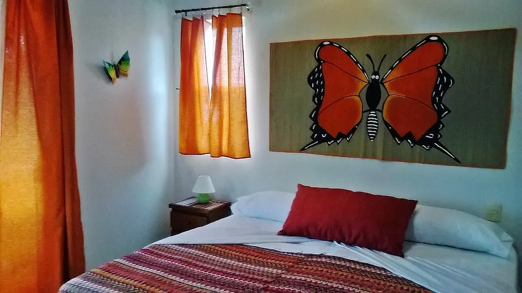 B&B Adelina Playa del Carmen 3*,  Meksyk