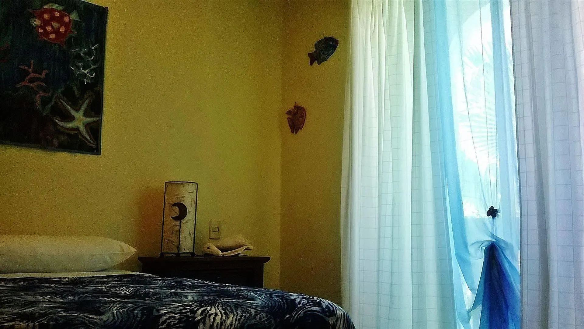 B&B Adelina Playa del Carmen Meksyk